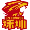 深圳新世纪后备队